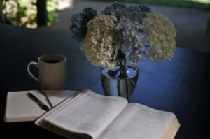 The Genius of Scripture - Naked Studs of Faith